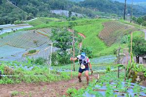 BIB: 
                            <button type="button" onclick="openModal(13379068)" class="btn btn-primary btn-sm float-right btn-popup" data-toggle="modal" data-target=".modal-high-quality">
                        <i class="fas fa-shopping-cart"></i> Add to Cart
                    </button>
                                            <button type="button" onclick="isThisMe(13379068, true)" class="btn btn-success btn-sm float-right btn-popup btn-isme hidden" data-toggle="tooltip" data-placement="bottom" title="นี่คือรูปของคุณใช่ไหม คลิกที่นี่เพื่อเอาเข้าอัลบั้ม">
                        <i class="fas fa-plus"></i> Add to album
                    </button>
                    <button type="button" onclick="isThisMe(13379068, false)" class="btn btn-warning btn-sm float-right btn-popup btn-isnotme hidden">
                        <i class="fas fa-ban"></i> Remove from album
                    </button>